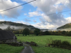  Tyddyn Bach Barn  Бэтси Коуд